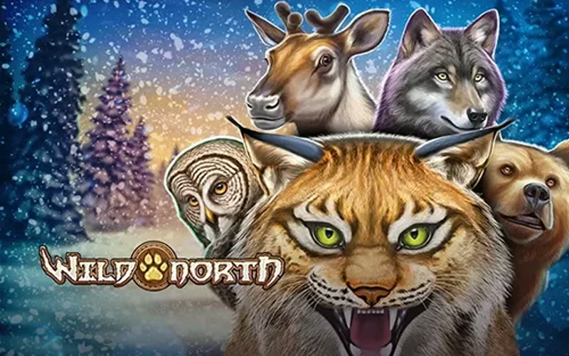 Wild North — game artwork