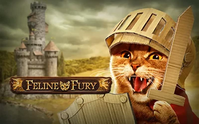Feline Fury — game artwork