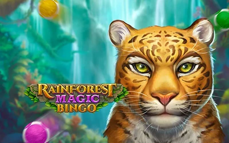 Rainforest Magic Bingo — game artwork