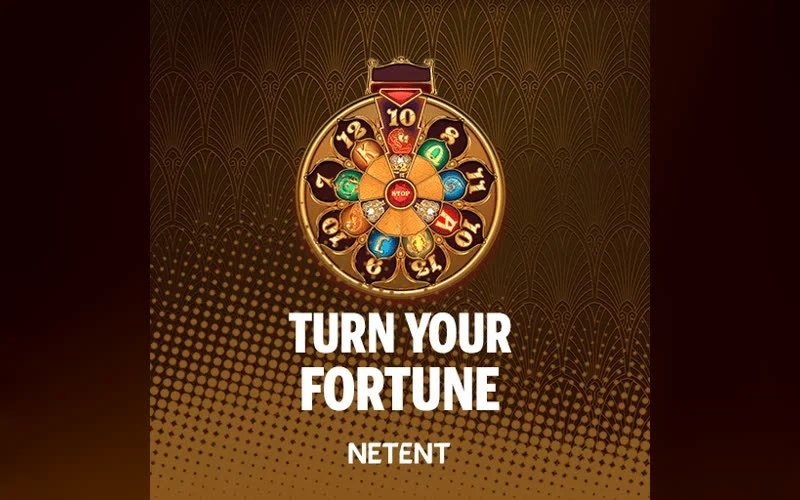Turn Your Fortune game artwork