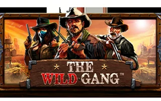 The Wild Gang