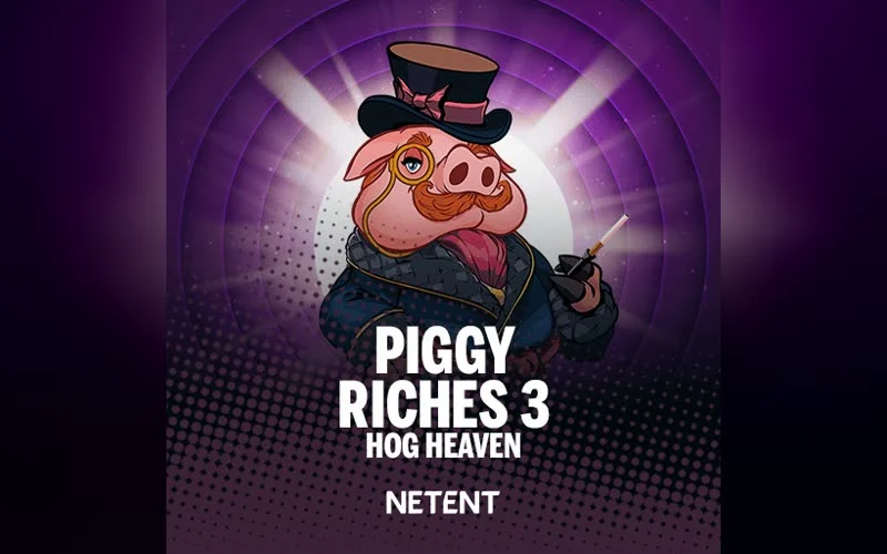 Piggy Riches 3: Hog Heaven game artwork