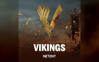 Vikings Video Slot