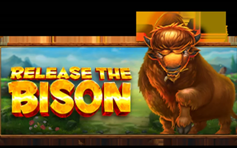 Release the Bison game artwork
