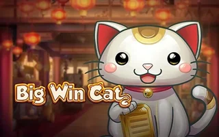 Big Win Cat