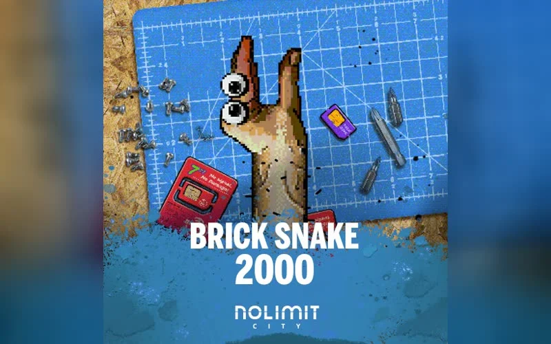 BRICK SNAKE 2000 game artwork