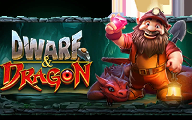 Dwarf & Dragon game artwork