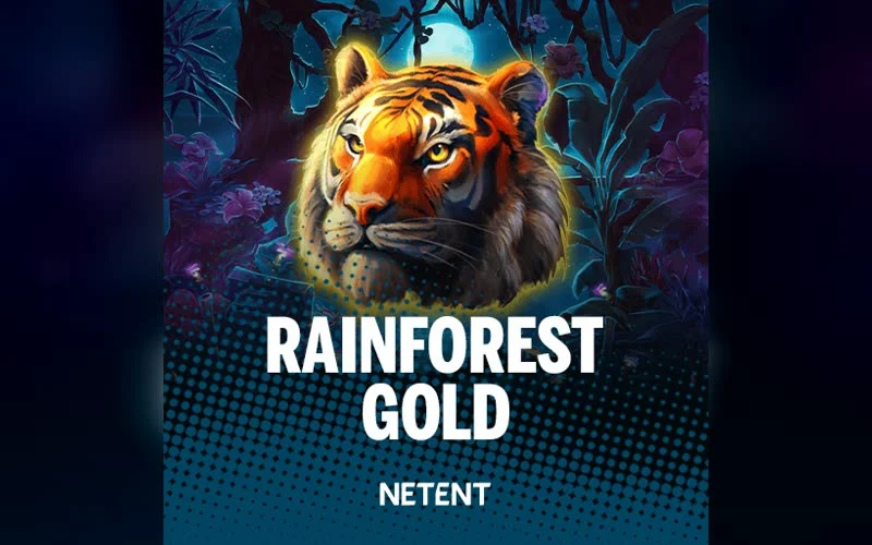 Rainforest Gold game artwork
