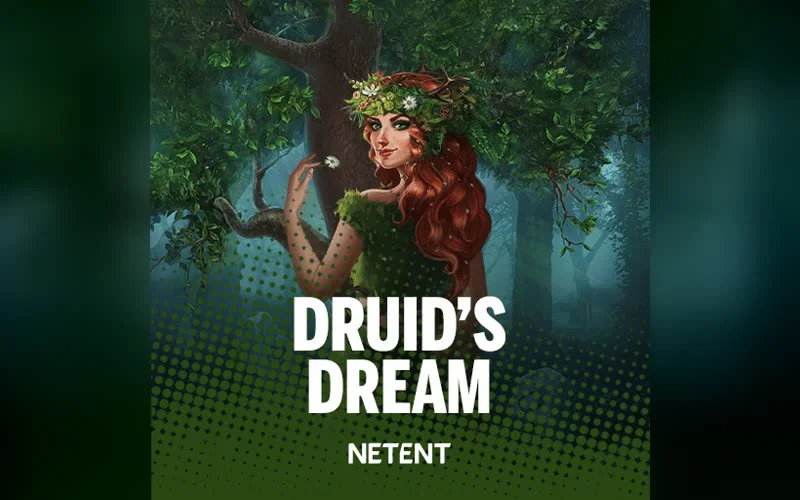 Druids’ Dream game artwork