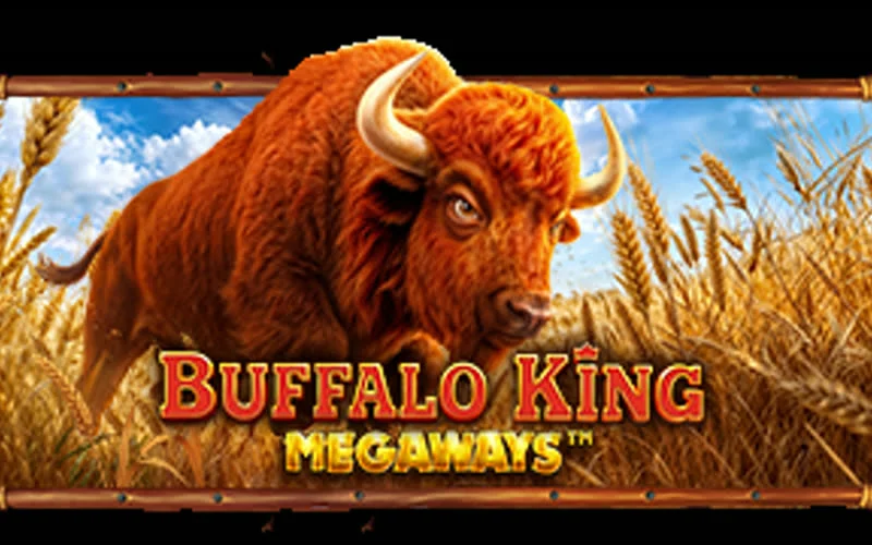 Buffalo King Megaways game artwork