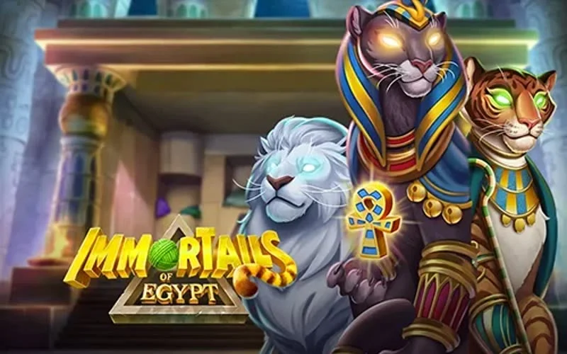 ImmorTails of Egypt — game artwork