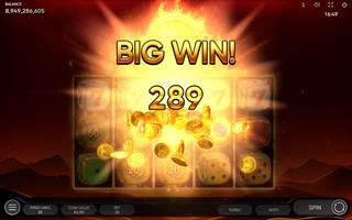 Burning Coins 20 Dice