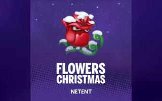 Flowers Christmas