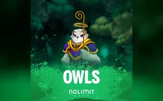 Owls
