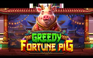 Greedy Fortune Pig