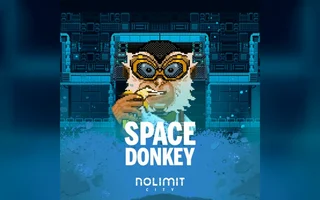 Space Donkey