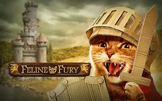 Feline Fury