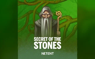 Secret of the Stones MAX