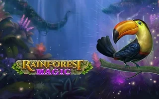 Rainforest Magic