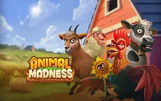 Animal Madness