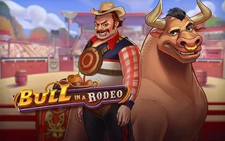 Bull in a Rodeo