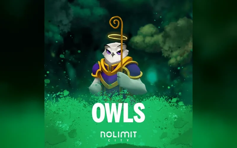 Owls game artwork