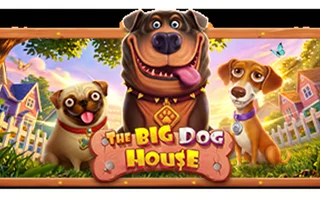The Big Dog House