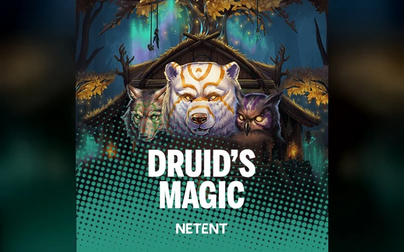 Druid’s Magic game artwork