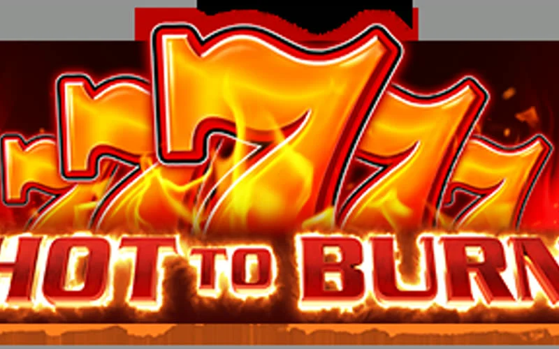 Hot to Burn game artwork