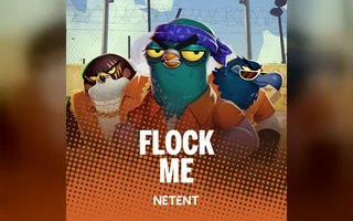Flock Me