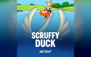 Scruffy Duck