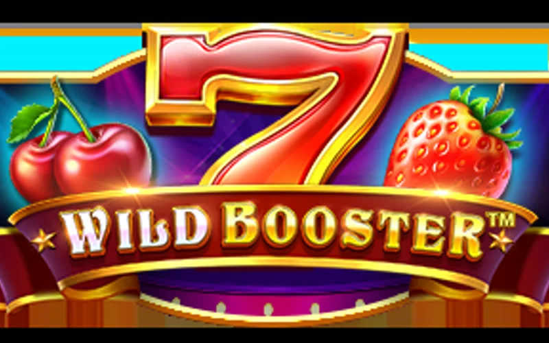 Wild Booster game artwork