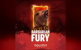 Barbarian Fury