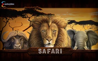 Safari