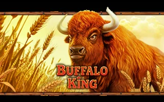 Buffalo King