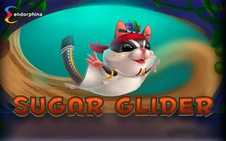 SUGAR GLIDER