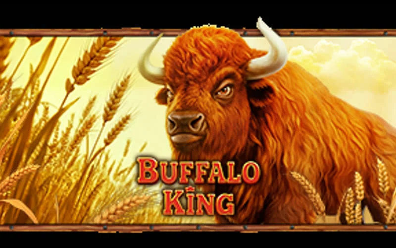 Buffalo King game artwork
