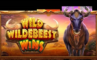 Wild Wildebeest Wins