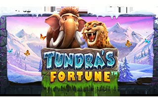 Tundra’s Fortune