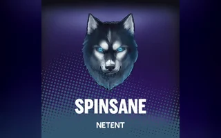 Spinsane