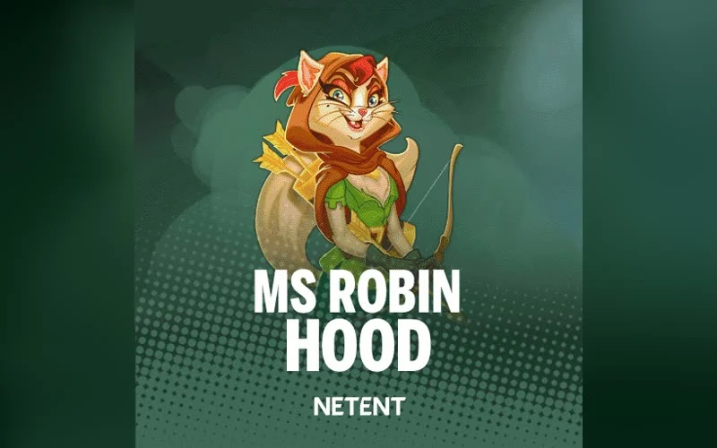 Ms Robin Hood game artwork