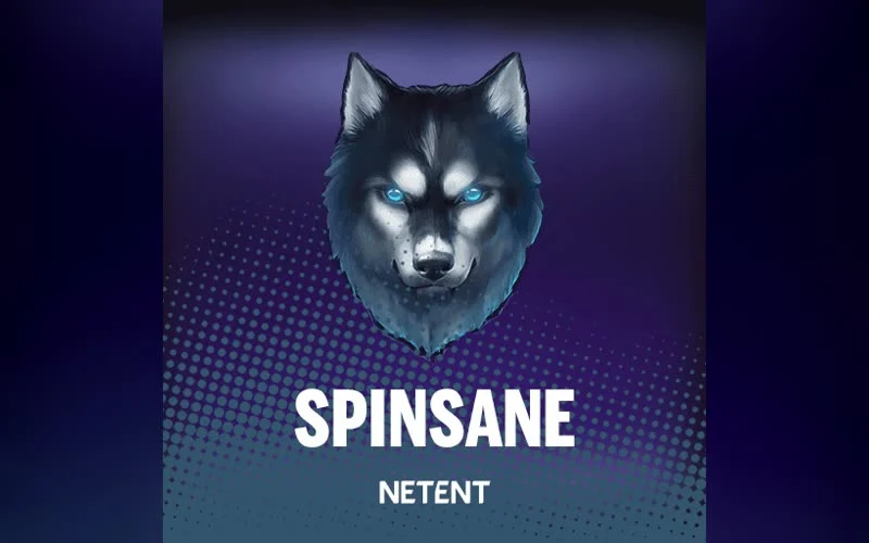 Spinsane game artwork
