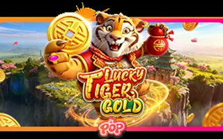 Lucky Tiger Gold