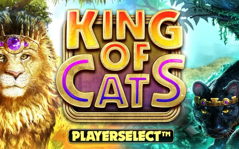 King Of Cats game artwork